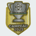 Patch Campeão da Copa do Brasil